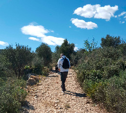 hiking in nature