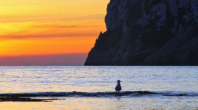 Strand Tango Javea