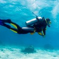 Diving in Javea